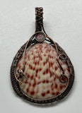 Self collected Beautiful Natural Calico Scallop Sea Shell Pendant wrapped in handwoven Copper with Pink and White Tourmaline accent