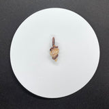 Self-collected Pitted Murex Shell Pendant in Copper. Tiny Treasure from the Sea!