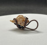 Self-collected Pitted Murex Shell Pendant in Copper. Tiny Treasure from the Sea!