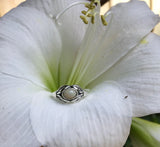 This enchanting ring features a radiant Welo Opal, showcasing its captivating flashes of color, set in sterling silver with an intricate leaf design. The delicate silver leaves wrap around the opal, adding a touch of nature-inspired elegance to the piece. Perfect for nature lovers and opal enthusiasts, this size 8 ring combines the timeless beauty of sterling silver with the organic charm of the leaf motif for a truly unique and refined accessory.