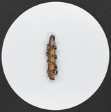 Tiger Eye Point in Pendant Woven Copper