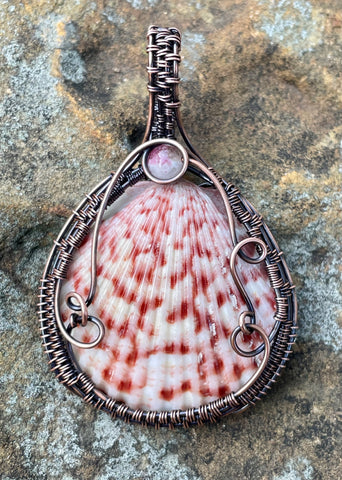 Self collected Beautiful Natural Calico Scallop Sea Shell Pendant wrapped in handwoven Copper with Pink and White Tourmaline accent 