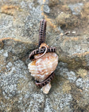 Self-collected Pitted Murex Shell Pendant in Copper. Tiny Treasure from the Sea!