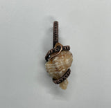 Self-collected Pitted Murex Shell Pendant in Copper. Tiny Treasure from the Sea!