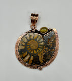 A beautiful blend of ancient history and warm, earthy elegance, this Ammonite pendant showcases the natural spiral fossil in a rich copper setting. The intricate patterns of the ammonite tell a story millions of years in the making, making this piece both eye-catching and meaningful.

Accented with a glowing amber stone, the pendant radiates warmth with its golden hues, perfectly complementing the copper tones.
