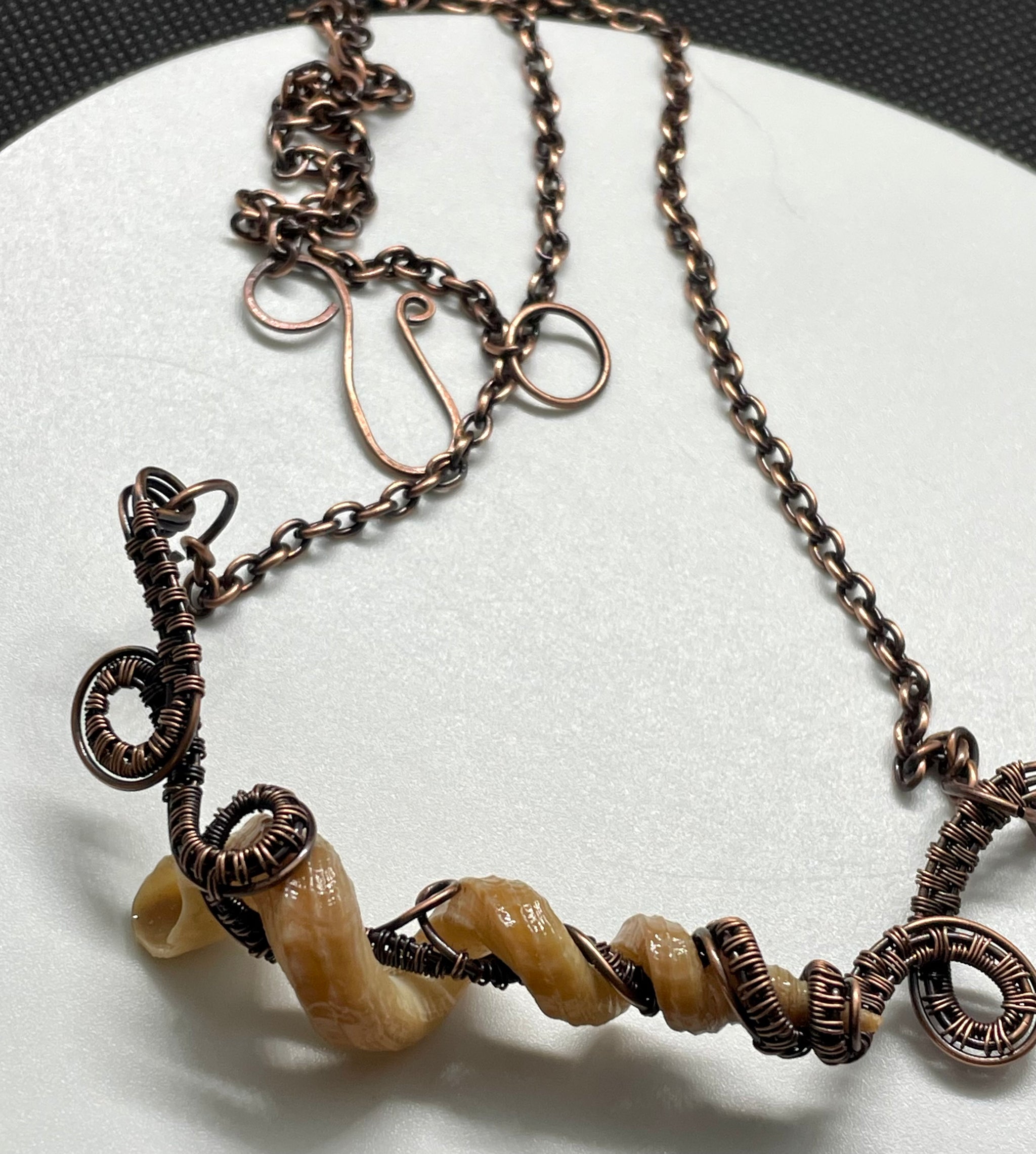 ネックレス・ペンダント Monday Edition _ Seashell Necklace CASDAN 6 Pcs Surfer Puka Shell Necklace - Men's Hawaiian