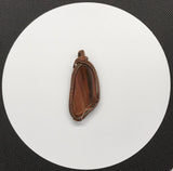 Petrified Wood and Copper Pendant