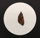 Petrified Wood and Copper Pendant -back