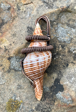True Tulip Shell Pendant in Copper