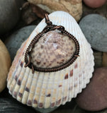 Seashell Pendant Wrapped in Copper