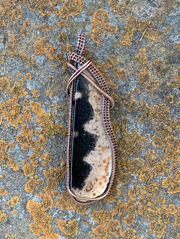 Unique Petrified Palm Wood Pendant wrapped in Copper