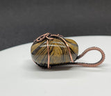 Uniquely Patterned Tumbled Stromatolite Pendant in Wire Wrapped Copper.  