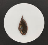 Tumbled Brown Agate Slice Pendant in Copper