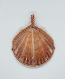 Natural Orange Seashell Pendant Wrapped in Copper