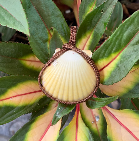 Natural Sunny Yellow Seashell Pendant wrapped in Copper.