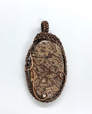 Wire wrapped Copper and Turritella Agate Pendant