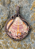 Self collected Beautiful Natural Calico Scallop Sea Shell Pendant wrapped in handwoven Copper with Crystal accent beads. 