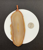 Add some color to your home or office with this Large Natural Yellow Raw Agate Slice Suncatcher in Copper.