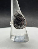 Checker Cut Black Fossil  Coral Ring in Sterling Silver.