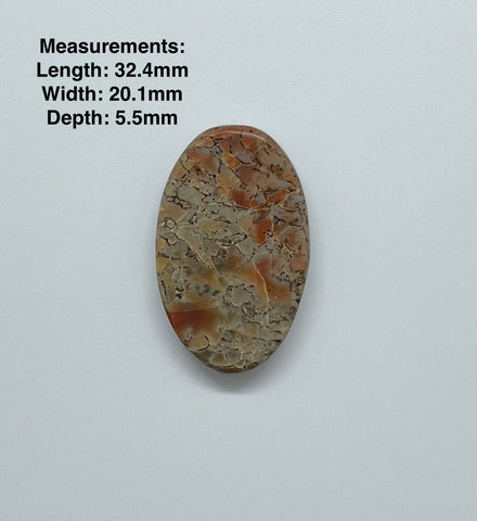 Fossilized Dinosaur Bone Cabochon with lots of cellular silicifcation. 