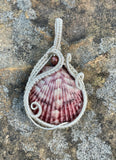 Calico Scallop Sea Shell Pendant in Argentium Silver