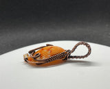 Self collected Beautiful Natural Orange Calico Scallop Sea Shell Pendant wrapped in handwoven Copper with Crystal accent beads. 