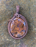 Stunning Petrified Wood Pendant wrapped in Copper