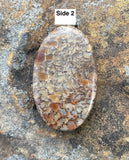 Fossilized Dinosaur Bone Cabochon with lots of cellular silicifcation. 