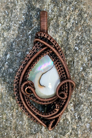 Iridescent Shiva Shell Pendant in Copper