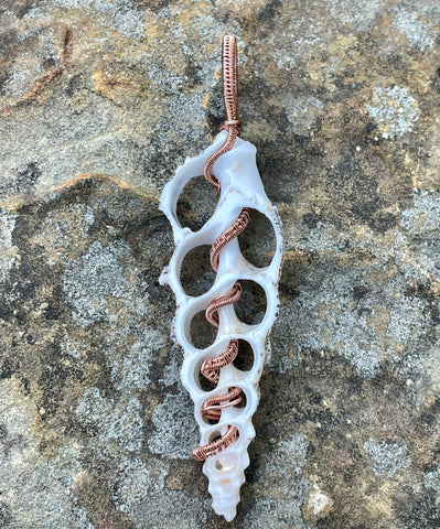 Natural Sea Shell Slice Pendant in wire wrapped Copper. 