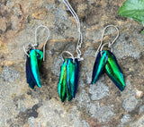 This stunning Flashy Blue/Green Jewel Beetle Wings Necklace and Earring Set is an eye-catching combination of nature’s beauty and timeless craftsmanship. Featuring iridescent jewel beetle wings in vibrant shades of blue and green, this set is encased in sleek, polished Sterling Silver (.925), creating an elegant and unforgettable ensemble. Both the necklace and earrings shine with their natural, iridescent glow, bringing a touch of exotic flair to any outfit.