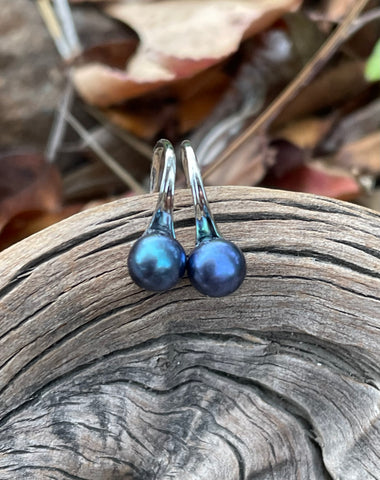 Sterling Silver Pearl Earrings with cultured AAAA High Luster Peacock Blue Round Button Pearls. 