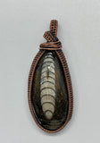 Orthoceras Fossil Pendant in Copper