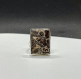 Turritella Agate Ring in Sterling Silver. Size 8