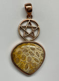 Fossil Coral Pentacle Pendant in Copper.