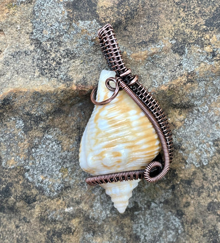 Cone Shell Pendant in wire wrapped Copper
