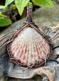 Calico Scallop Sea Shell Pendant in Copper