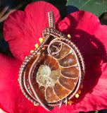 Fascinating Ammonite Fossil Pendant in wire wrapped Copper. 
